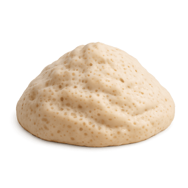 סטרטר
