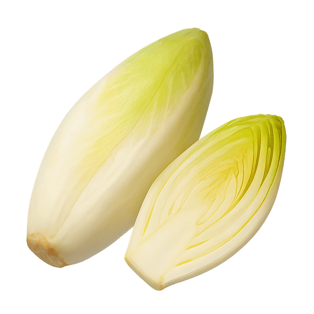 אנדיב