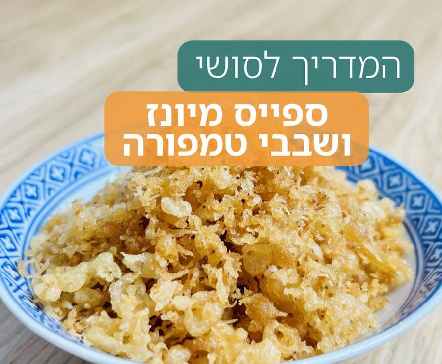 שבבי טמפורה
